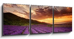 Obraz 3D tdln - 150 x 50 cm F_BM68260251 - Stunning landscape with lavender field at sunrise - Ohromujc krajina s levandulem pole pi vchodu slunce