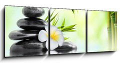 Obraz 3D tdln - 150 x 50 cm F_BM68618057 - spa massage treatment in garden with frangipani and bamboo