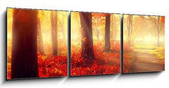 Obraz 3D tdln - 150 x 50 cm F_BM69511191 - Fall scene. Beautiful autumnal park in sunlight