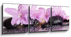 Obraz   flowers and black stones with reflection, 150 x 50 cm