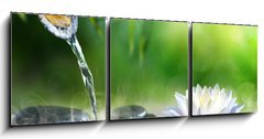 Obraz 3D třídílný - 150 x 50 cm F_BM70564979 - zen garden with massage stones and waterlily - zenové zahrady s masážními kameny a vodním lilkem