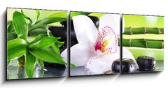 Obraz 3D tdln - 150 x 50 cm F_BM71100540 - Spa stones, bamboo branches and white orchid