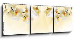 Obraz 3D tdln - 150 x 50 cm F_BM72852358 - Beautiful white orchid