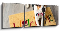 Obraz 3D tdln - 150 x 50 cm F_BM73116832 - Cute dog posing on the carpet