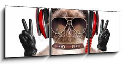 Obraz 3D tdln - 150 x 50 cm F_BM74275081 - Cat headphones.