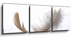 Obraz 3D tdln - 150 x 50 cm F_BM77181584 - Feder