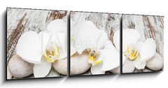 Obraz 3D tdln - 150 x 50 cm F_BM78194063 - beautiful orchid with stones