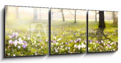 Obraz 3D tdln - 150 x 50 cm F_BM78313786 - abstract sunny beautiful Spring background