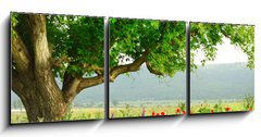 Obraz 3D tdln - 150 x 50 cm F_BM7853282 - Poppy  s field and big green tree
