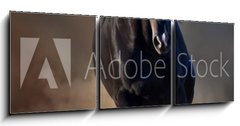 Obraz 3D tdln - 150 x 50 cm F_BM78859419 - Beautiful black stallion run in desert dust against sunset sky
