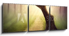 Obraz 3D třídílný - 150 x 50 cm F_BM79255911 - Forest pathway - Lesní cesta