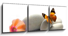 Obraz   Papillon, 150 x 50 cm