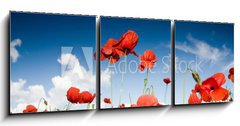 Obraz   Field with poppies under dark sky, 150 x 50 cm