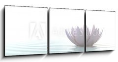 Obraz   Zen lotus on water, 150 x 50 cm