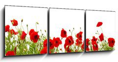 Obraz 3D tdln - 150 x 50 cm F_BM81019876 - red poppy