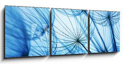 Obraz 3D tdln - 150 x 50 cm F_BM84440352 - Dandelion