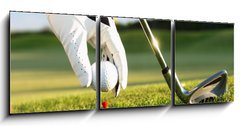 Obraz 3D tdln - 150 x 50 cm F_BM8489083 - golf tee