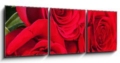 Obraz 3D tdln - 150 x 50 cm F_BM86423669 - Bouquet of red roses on the old boards