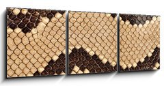 Obraz 3D tdln - 150 x 50 cm F_BM90620338 - Snake skin. - Hadov ke.