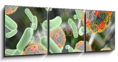 Obraz 3D tdln - 150 x 50 cm F_BM92014317 - Bacteria and viruses (Hepatitis A virus) on colorful background. Medical background. Healthcare background
