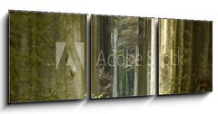 Obraz   nature pathway, 150 x 50 cm
