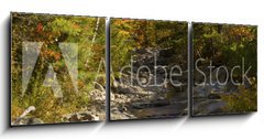 Obraz 3D tdln - 150 x 50 cm F_BM93409854 - The Baker River flows through fall foliage, Warren, New Hampshir