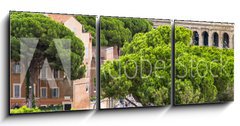 Obraz 3D tdln - 150 x 50 cm F_BM94095592 - Exterior view of the Colosseum in Rome with green trees around.