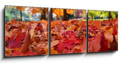 Obraz 3D tdln - 150 x 50 cm F_BM95226612 - autumn leaves