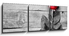 Obraz 3D tdln - 150 x 50 cm F_BM95876705 - Red rose on black and white wooden background