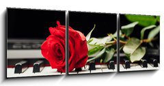 Obraz 3D tdln - 150 x 50 cm F_BM98331602 - piano keys and red rose - klavrn kle a erven re