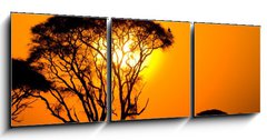 Obraz   african sunset in savannah, kenya, 150 x 50 cm