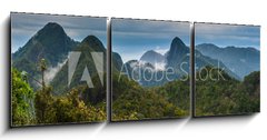 Obraz 3D třídílný - 150 x 50 cm F_BM98620191 - Langkawi - Inselparadis der Adler im Regenwald