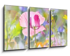 Obraz 3D tdln - 90 x 50 cm F_BS100106194 - summer meadow with red poppy