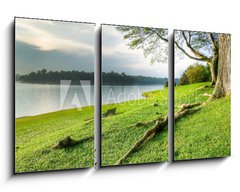 Obraz 3D tdln - 90 x 50 cm F_BS10305059 - Grassy Banks Under Large Tree at Sunset