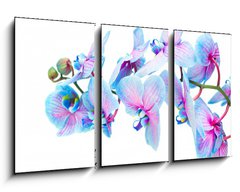 Obraz   stem of blue orchids, 90 x 50 cm