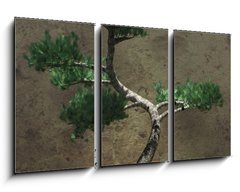 Obraz 3D tdln - 90 x 50 cm F_BS104394610 - Decorative Bonsai Tree