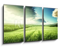 Obraz 3D tdln - 90 x 50 cm F_BS104579595 - Tuscany sunset, Italy