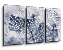 Obraz   Plant seeds with water drops, 90 x 50 cm