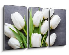 Obraz 3D tdln - 90 x 50 cm F_BS105673696 - More white tulip on the grey background.