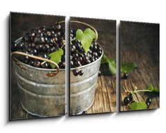 Obraz 3D tdln - 90 x 50 cm F_BS106540835 - Blackcurrant - ern rybz