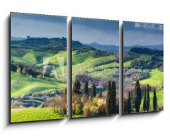 Obraz 3D tdln - 90 x 50 cm F_BS108374641 - Houses with cypress trees in a green spring day.