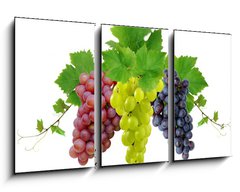 Obraz 3D tdln - 90 x 50 cm F_BS10964464 - Three fresh grapes - Ti erstv hrozny