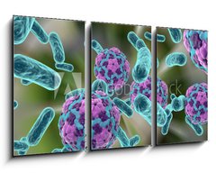 Obraz   Bacteria and hepatitis A virus, 90 x 50 cm