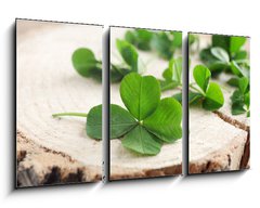 Obraz 3D tdln - 90 x 50 cm F_BS110661857 - Green clover leaves on a piece of wood, closeup