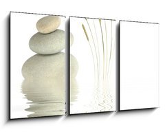 Obraz 3D tdln - 90 x 50 cm F_BS11241358 - Zen Beauty