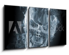 Obraz 3D tdln - 90 x 50 cm F_BS11412559 - Skull - smoke - krtk veslo