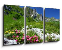 Obraz 3D tdln - 90 x 50 cm F_BS11754961 - spring in the alps