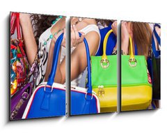 Obraz   Leather handbags isolated, 90 x 50 cm