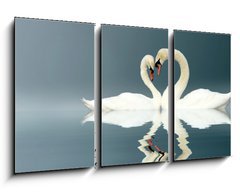 Obraz 3D tdln - 90 x 50 cm F_BS12112158 - Love Swans