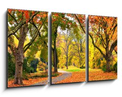 Obraz   Park im Herbst in freundlich warmen Farben, 90 x 50 cm